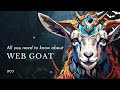 WebGoat - Your Playground for Learning Web Application Security I Cyber Security application.