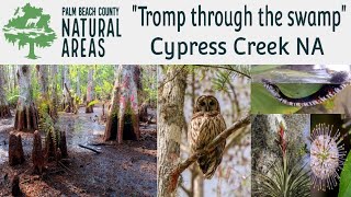 ERM Virtual Field Trip: Cypress Domes
