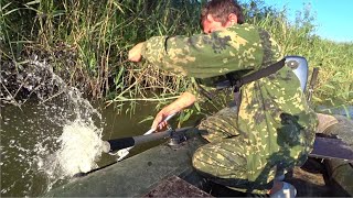 Шок рыбалка. Огромный Судак на жмых