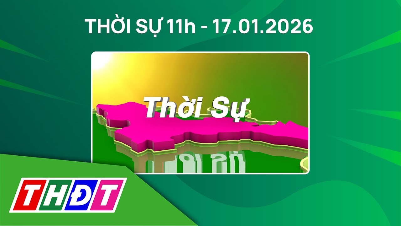 Thời sự 11h - 17/1/2026 | Sa Đéc: Cúc mâm xôi nở sớm do ảnh hưởng thời tiết | THDT