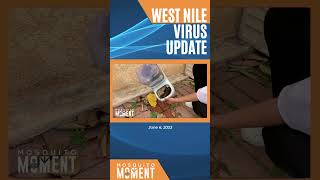 Mosquito Moment's WNV update 6/5/2023