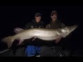 Fall mille lacs giant musky quest  chasin50