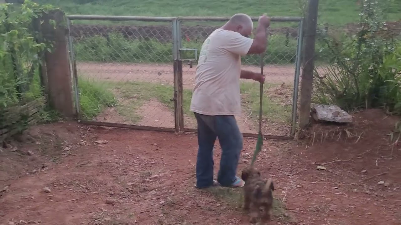 Limpeza no quintal 🌷😃🐕