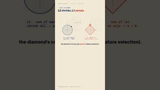 Regularization: L1 vs L2 (Weight Decay), Explained #Shorts