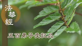 【靜思妙蓮華】法華經五百弟子受記品 - 隨根說法 拔眾貪著 - 20220314 第1109集