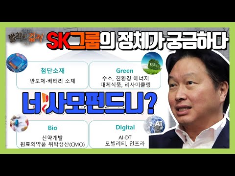   상식주의자 SK그룹의 정체가 궁금하다 너 사모펀드니 권순우 발칙한경제