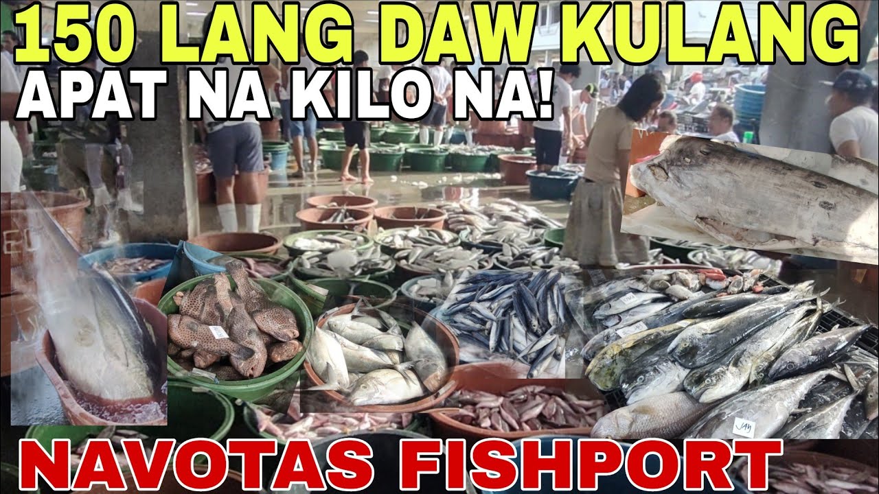 EPS. 345 150 LANG DAW KULANG APAT NA KILO NA! NAVOTAS FISHPORT