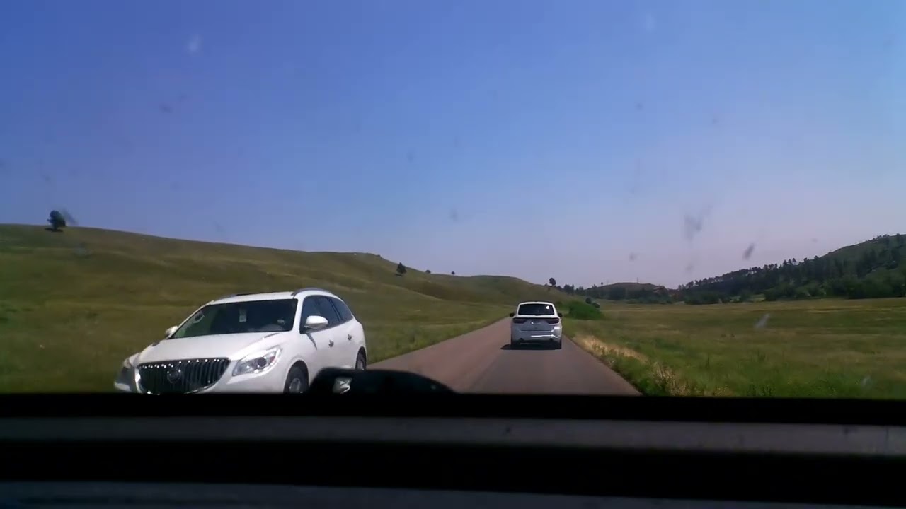 Custer State Park (To Bison Center)