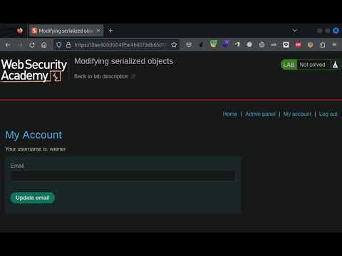 18.1 Lab: Modifying serialized objects | 2023