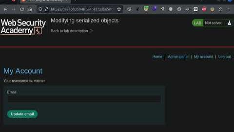 18.1 Lab: Modifying serialized objects | 2023