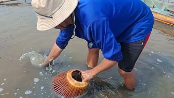 Gia bảo TV || Cao thủ đẩy côn bắt cá lóc mùa nước lớn