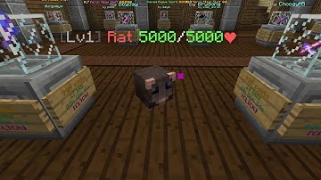 Where To Grind Cheese And Rat Pets In Hypixel Skyblock