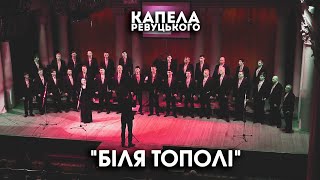картинка: 