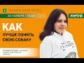 Как лучше понять свою собаку