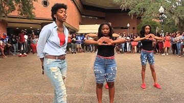 Lambda Psi Divas NPHC Yardshow