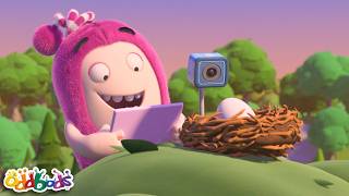 Œuf de Newt | Épisode Complet ! Oddbods Français | Dessin Animé en Français