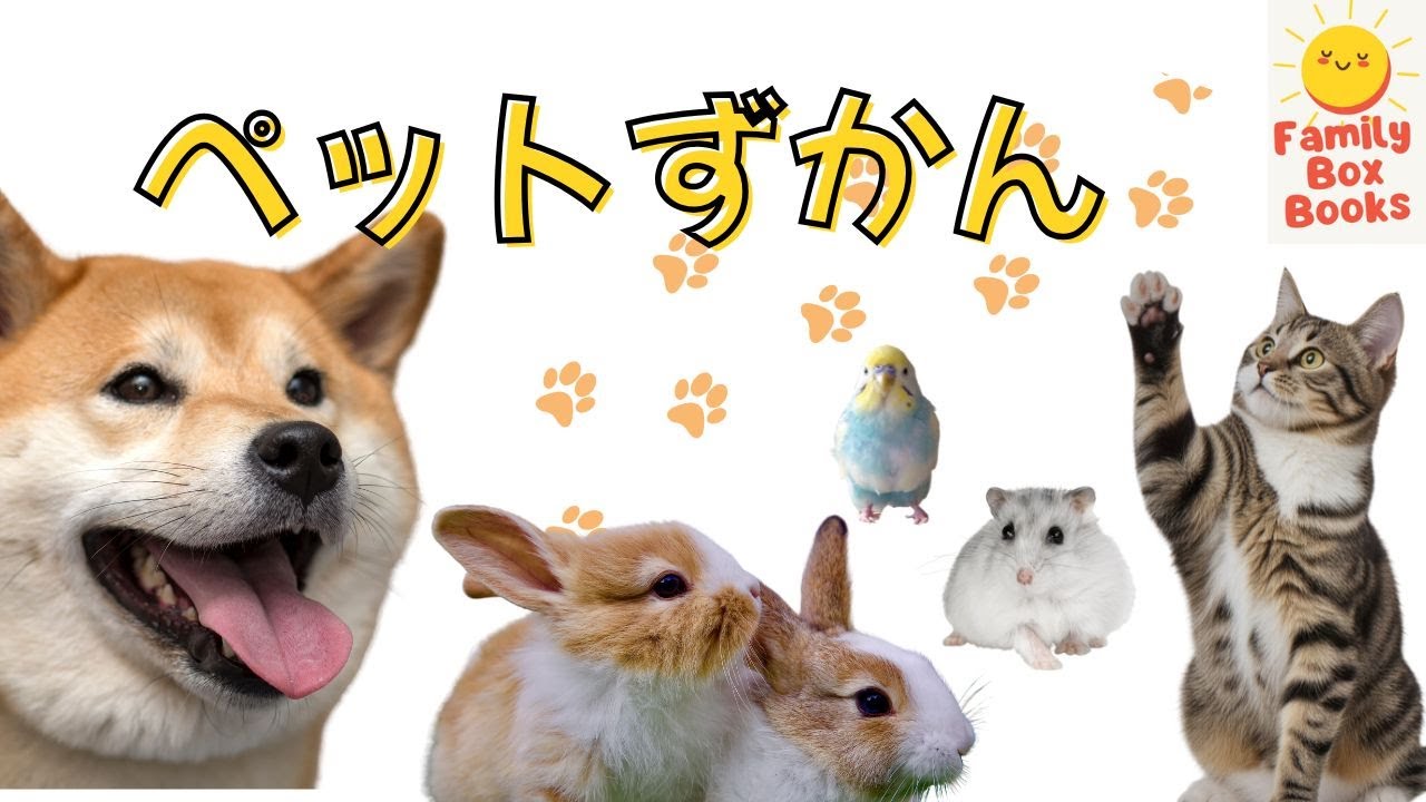 ペットずかん｜かわいい動物たちをみてみよう🐾