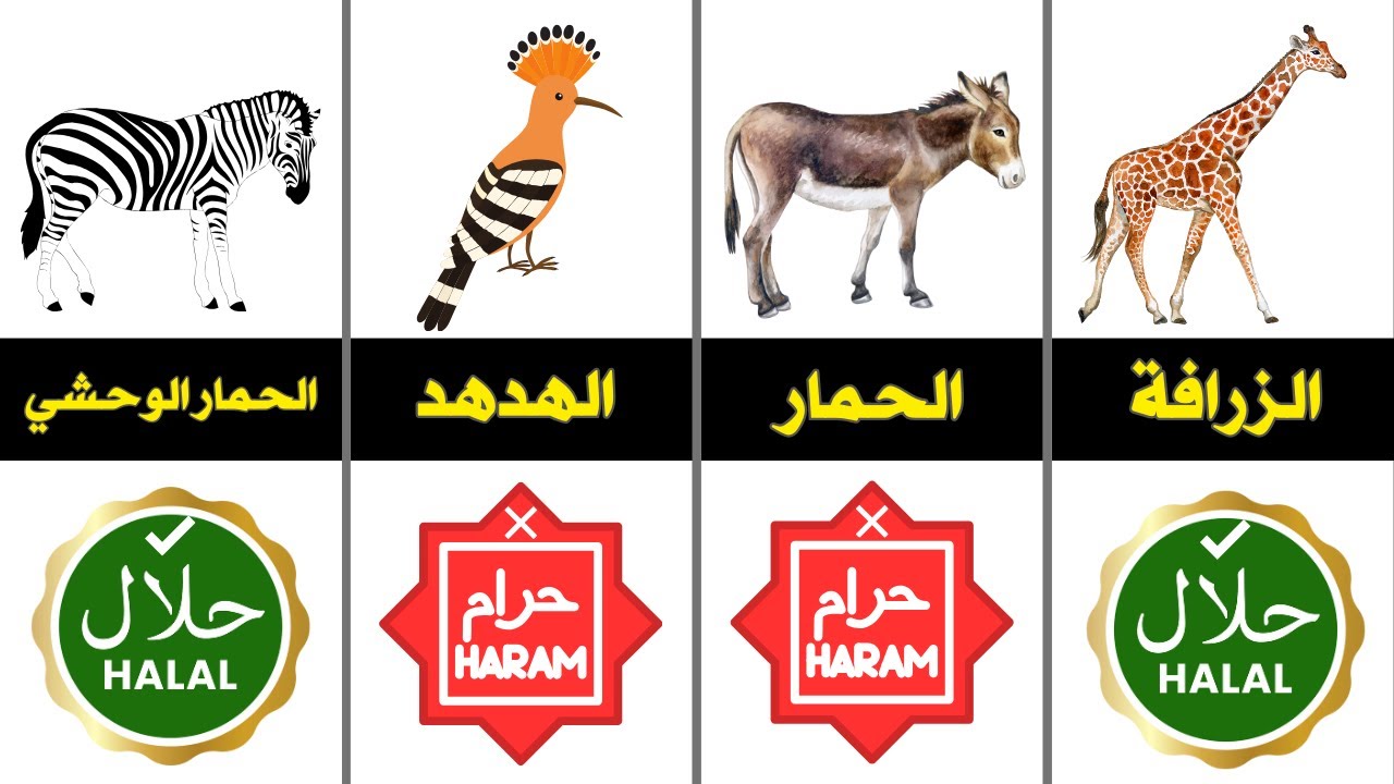 الحيوانات الحلال والحرام أكلها في الإسلام
