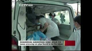 Shanghai Ammonia Leak Killed 15