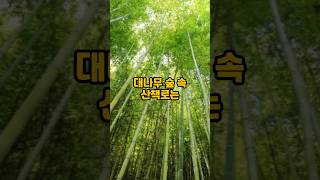 전라도 여행 시 가볼 만한 곳 추천