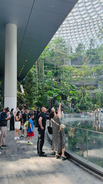 HSBC Rain Vortex at Jewel Changi Airport, Singapore | The world’s largest indoor waterfall