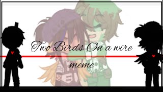 Two birds on a wire// Dapduo angst// slight TW? spoilers?//DSMP MEME