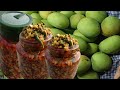सारे झंझट खत्म बस10 मिनट में बन जाएगा अचार लहसुन मिर्च के साथ!Instant Aam ka Achar &amp;Chunda Recipe