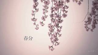 Spring Equinox — Soft & Gentle Piano for Spring | Neo-Classical screenshot 2