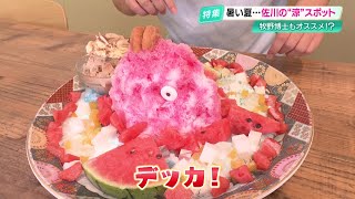 暑い日は「さかわかき氷街道」で涼を満喫 1.7キロの“皿鉢氷”や“トマ氷