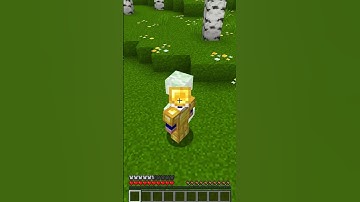 Armor Vs Creeper  #minecraft