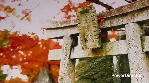 Project 12-18(8)_Full HD 1080p.mp4