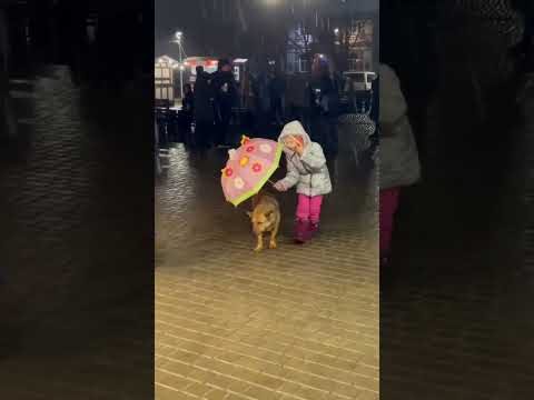 Five Year Old Girl Protects Dog From Rain With Umbrella