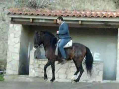 Yeste Camilo montando a caballo...