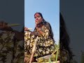 आज गेलो कमलाभवानी च्या दर्शनाला ❤️🙏🏻.. #KamlabhavaniDevi #DeviDarshan #MiniVlog #Bhakti #Shraddha