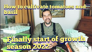 Finally start of growth season 2022. How to cultivate tomatoes and basil.