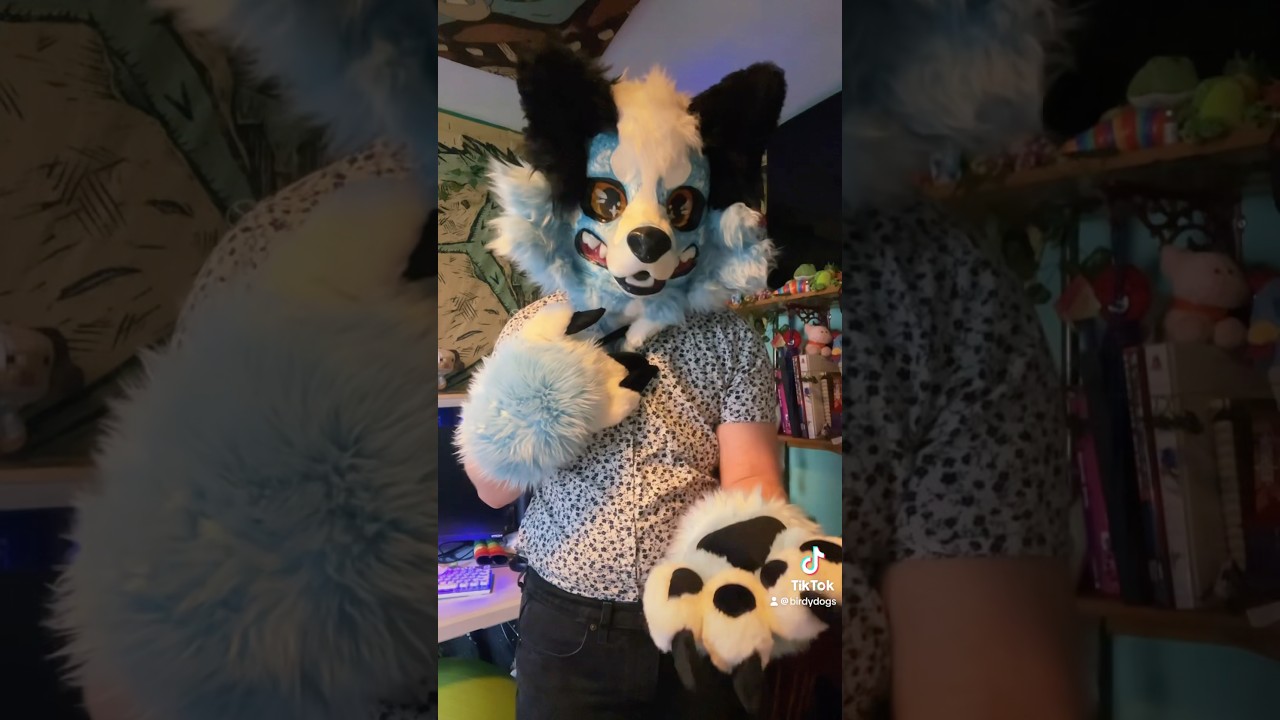 I love dressing up as a blue dog 😎 