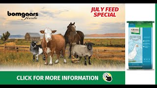 July 2022 - Bomgaars In Store July CF Duck