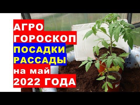 2022 yil may oyida issiqxonada va ochiq erga ko&rsquo;chat ekish uchun agrogoroskop