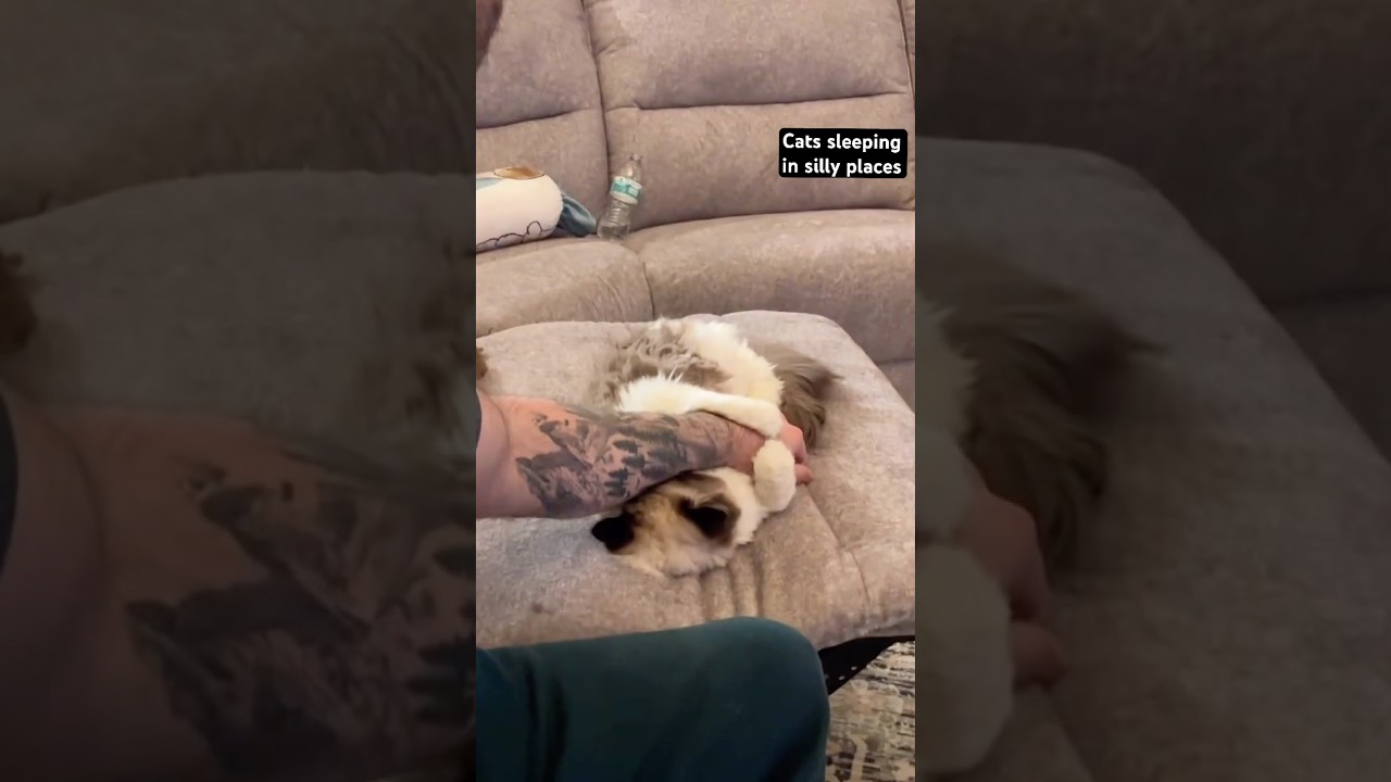 I don’t wanna wake her up 😭