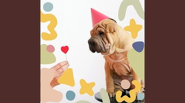 Pulsating Backdrops for Resting Dog Moments