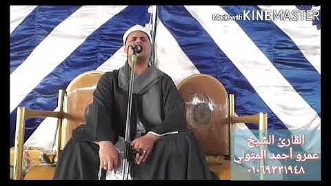 القارئ الشيخ عمرو أحمد المتولي   آخر سورة الفتح والحجرات