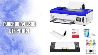 PUNEHOD A4 L800 DTF Printer Review | Best Budget DTF Setup 2025!