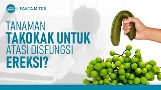 Download Lagu Susah Ereksi, Bisa Diatasi Dengan Tanaman Takokak? | Hidup Sehat tvOne MP3