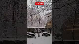 Toronto Today Soft Snowing #toronto screenshot 5