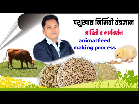 पशुखाद्य कसे तयार केले जाते ? | माहिती व मार्गदर्शन डॉ. पराग घोगळे | How animal feed is prepared #4