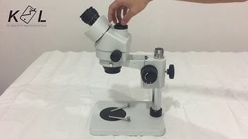 KSL Electronic 7-45X Binocular Trinocular Microscope how to set up the Binocular microscope
