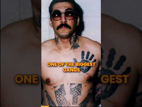 Mexican Mafia Known As La Eme Killed 10 People About The Movie American Me Full Video In Comments 