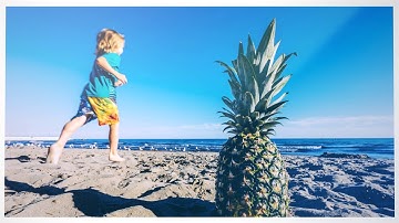 Flipshow by D3luxxxe - Minimalist Slideshow | Videobolt Project