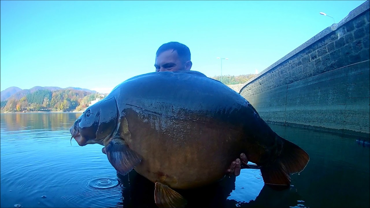 CC Moore Italy - Big Mirror on Pacific Tuna - Luca Tugnoli