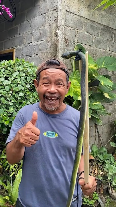ALAT BUAT NANGKAP ULAR